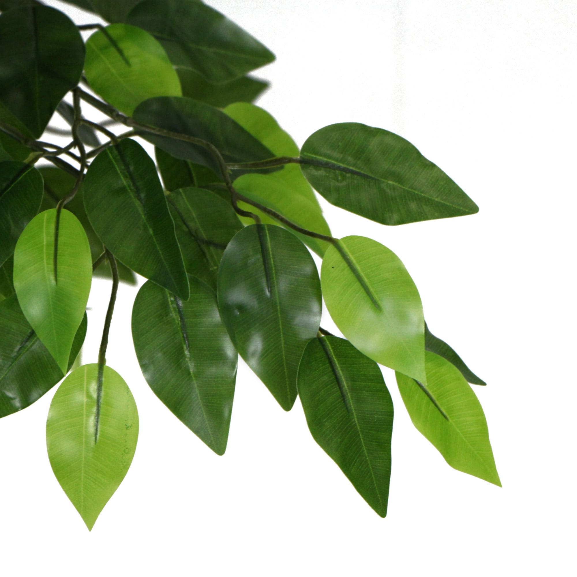 Artificial Ficus Tree 180cm Nearly Natural UV Resistant — image 6