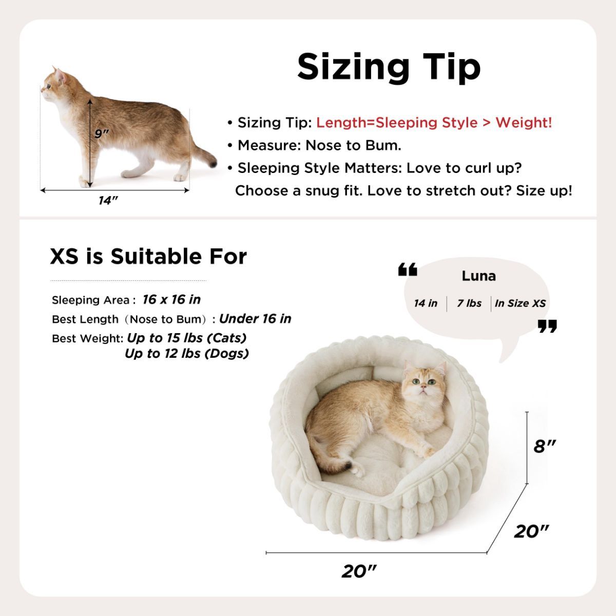Cat Bed Plush Cat Bed Round Cat Bed Cat Furniture Cat Comfort High-Quality Cat - Navy / 26in — image 5