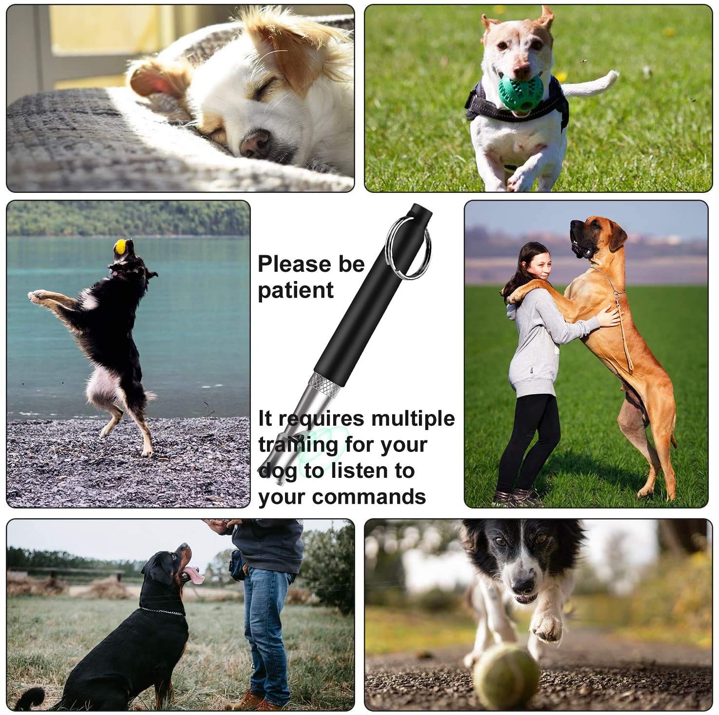 Adjustable ultrasonic silent dog whistle with lanyard, professional dog recall training whistle controls neighboring dogs — image 5
