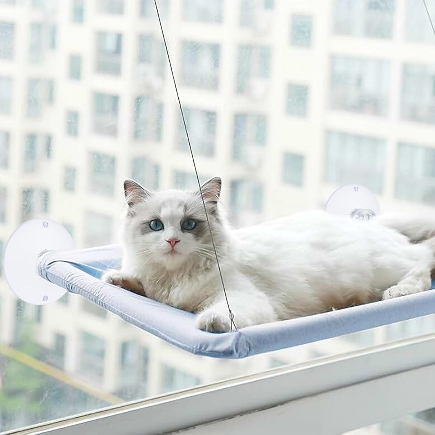 4 PCS Window Perch Suction Cup Large Replacement Clear PVC Sucker Pads Powerful Suction Cups for Cat Window Bed Seat Hammocks — image 5