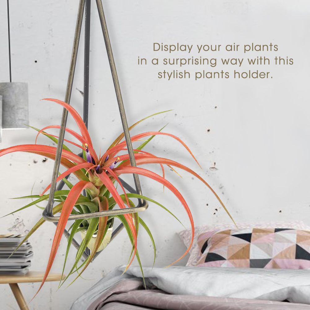 Geometric Triangle Hanging Flower Holder Stand Elegant Air Plants Bromeliads Rack House Decor M — image 3