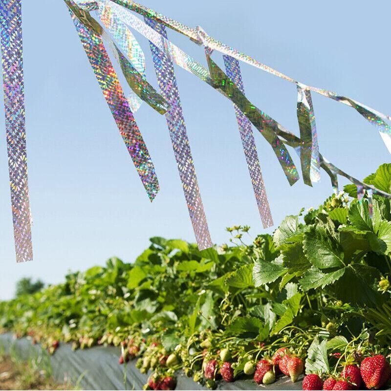 Bird Repellent Laser Reflective Tape Garden Birds Deterrent Double-Side Tapes — image 6