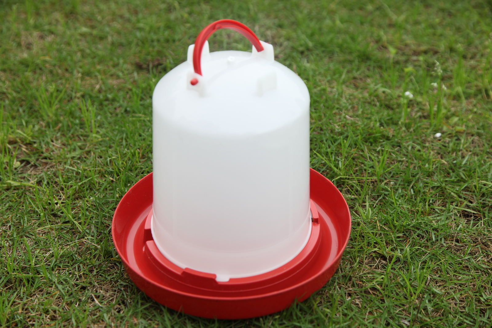 YES4PETS Farm Poultry Bird Chicken Water Drinker 3 L & 3 kg Food Grain Seed Feeder Set โ image 3