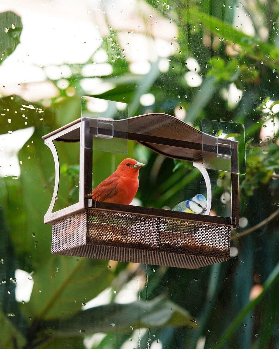 Stainless Steel Window Bird Feeder with Suction Cups, Transparent Weather-Resistant Feeding Station for Watching Small Wild Birds โ image 5