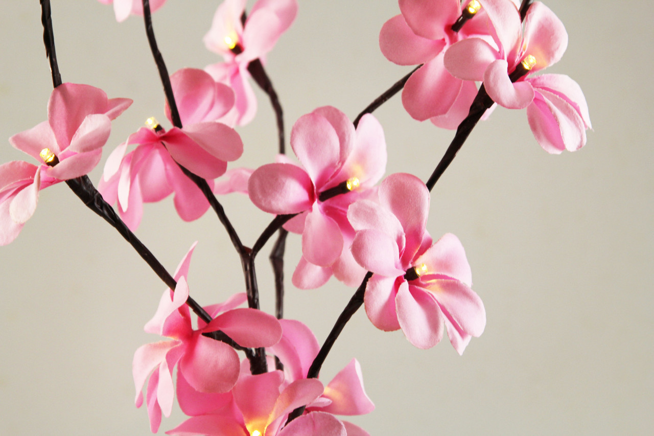 1 Set of 50cm H 20 LED Pink Frangipani Tree Branch Stem Fairy Light Wedding Event Party Function Table Vase Centrepiece Decoration Girl Bedroom — image 2
