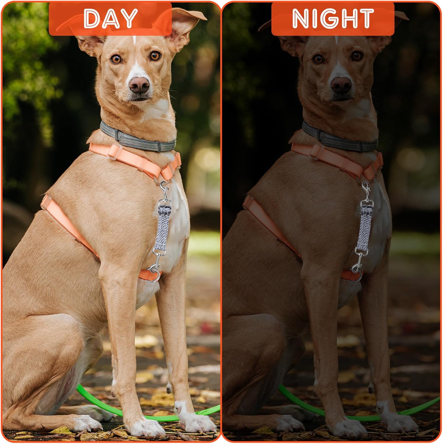 2 PCS Prong Collar Safety Clip Leash to Prong Collar Connector Dog Leash Connector Harness to Collars Safety Clip Reflective Double Ended Backup Clasp for Dog โ image 5