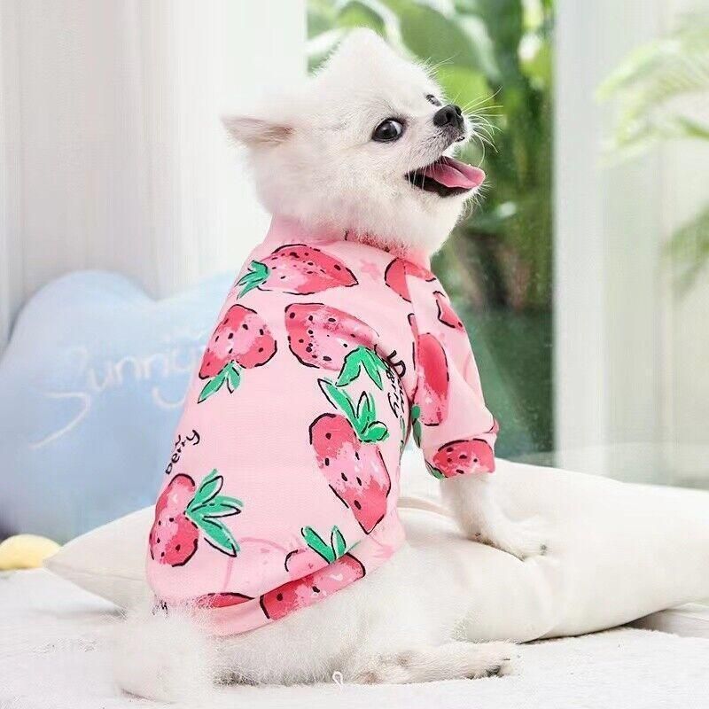 M Size Cute Pet Dog Warm Jumper Sweater Clothes Cat Knitwear Knitted Coats Winter - Yellow Shiba Inu โ image 6