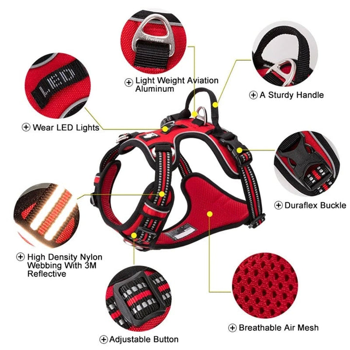 No Pull Harness Purple M โ image 6