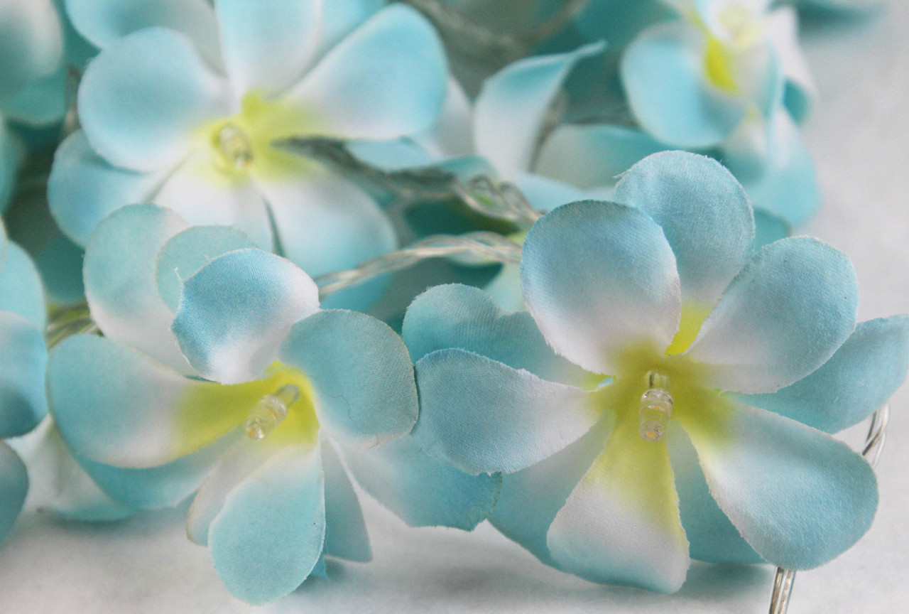 1 Set of 20 LED Tropical Blue Frangipani Flower Battery 3m String Lights Christmas Gift Home Wedding Beach Party Decoration Outdoor Table Centrepiece โ image 3