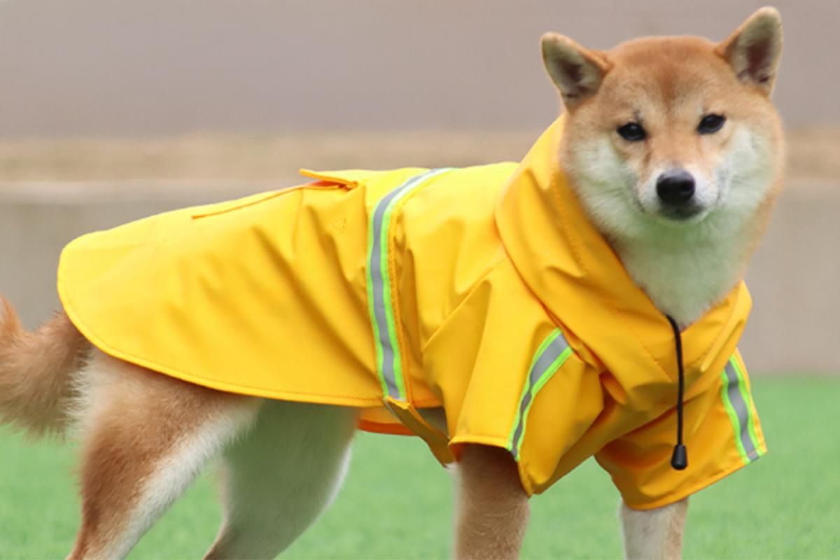 Pet Raincoat Outdoor Waterproof Dog Poncho for Small and Medium Dogs - Orange โ image 3