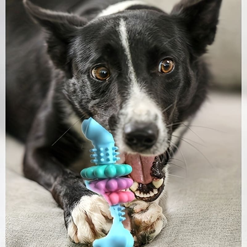 Durable Dog Chew Toy for Aggressive Chewers – Fun Bone-Shaped Dental Toy with Flower Ring Design, Ideal for Medium to Large Dogs, Great for Teeth Cleaning and — image 6