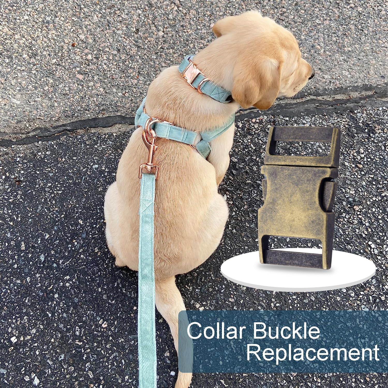 CooBigo 10 Pack Bulk Dog Collar Hardware Metal Buckle 1 inch Webbing Backpack Buckle Replacement Backpack Strap Kit Prong Collar Clip Buckles(Bronze) โ image 6