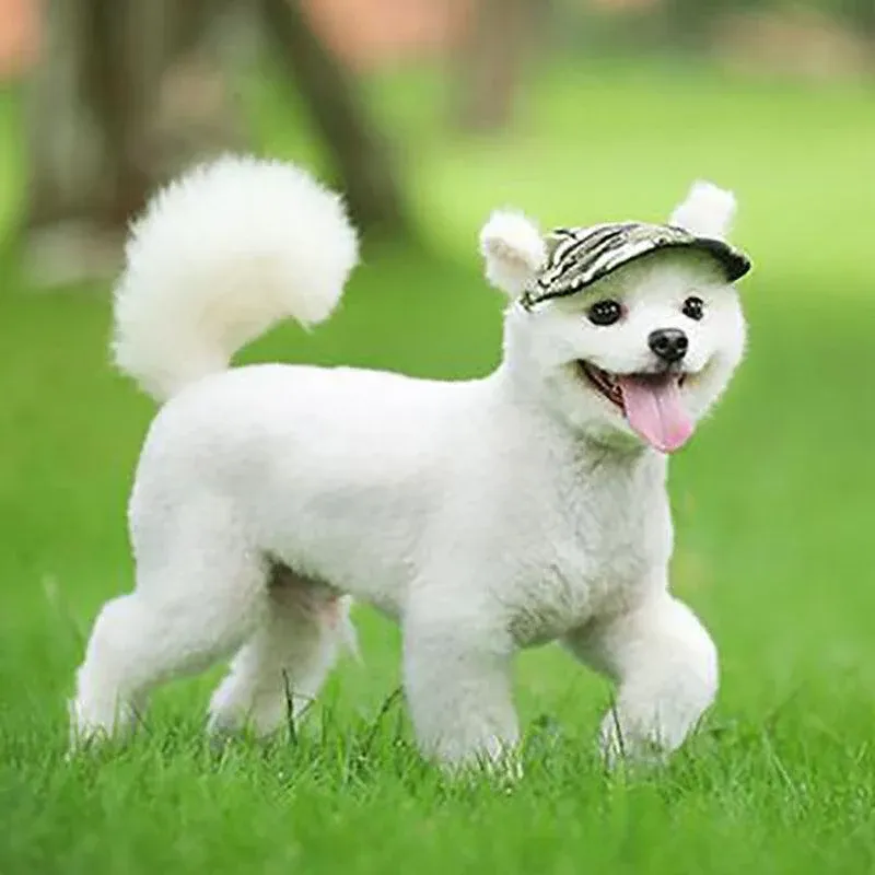 Dog Baseball Cap Outdoor Pet Sun Hat Summer Canvas Visor Puppy S Size - Flower — image 4