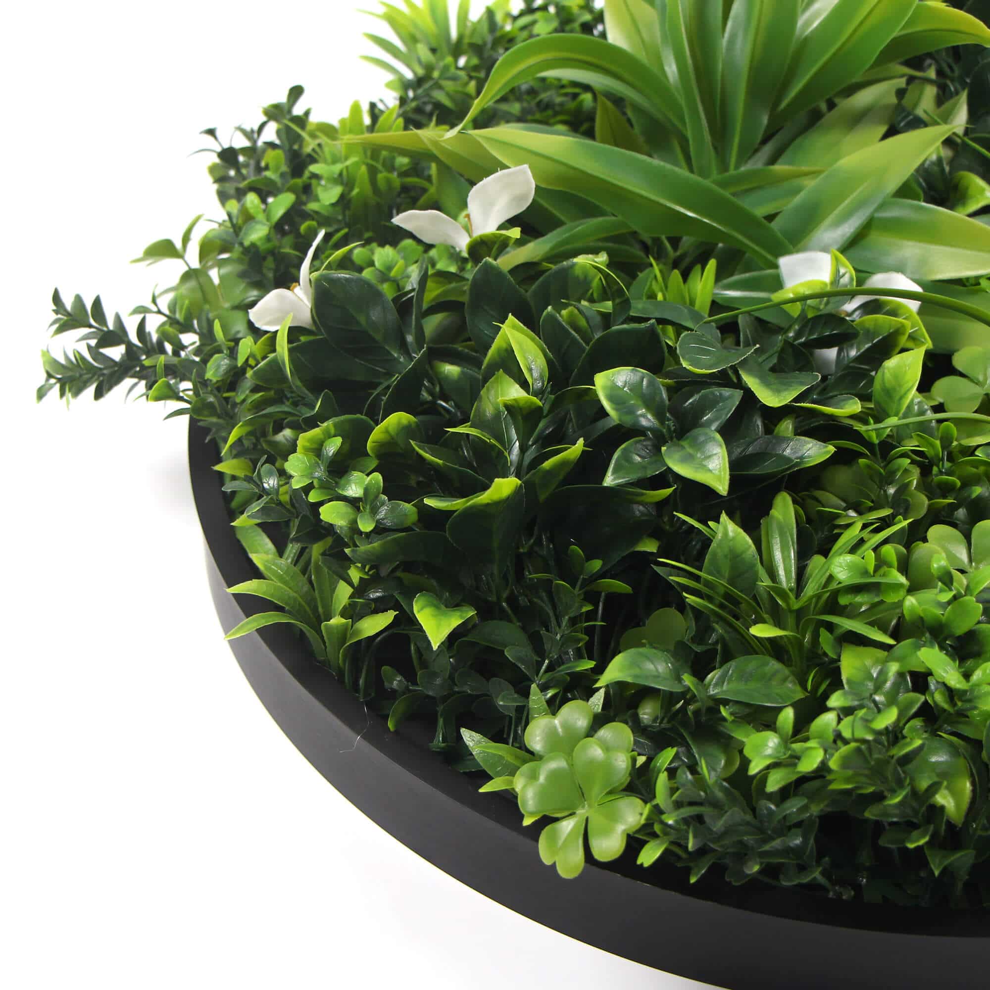 Slimline Flowering White Artificial Green Wall Disc UV Resistant 75cm (Black Frame) โ image 2