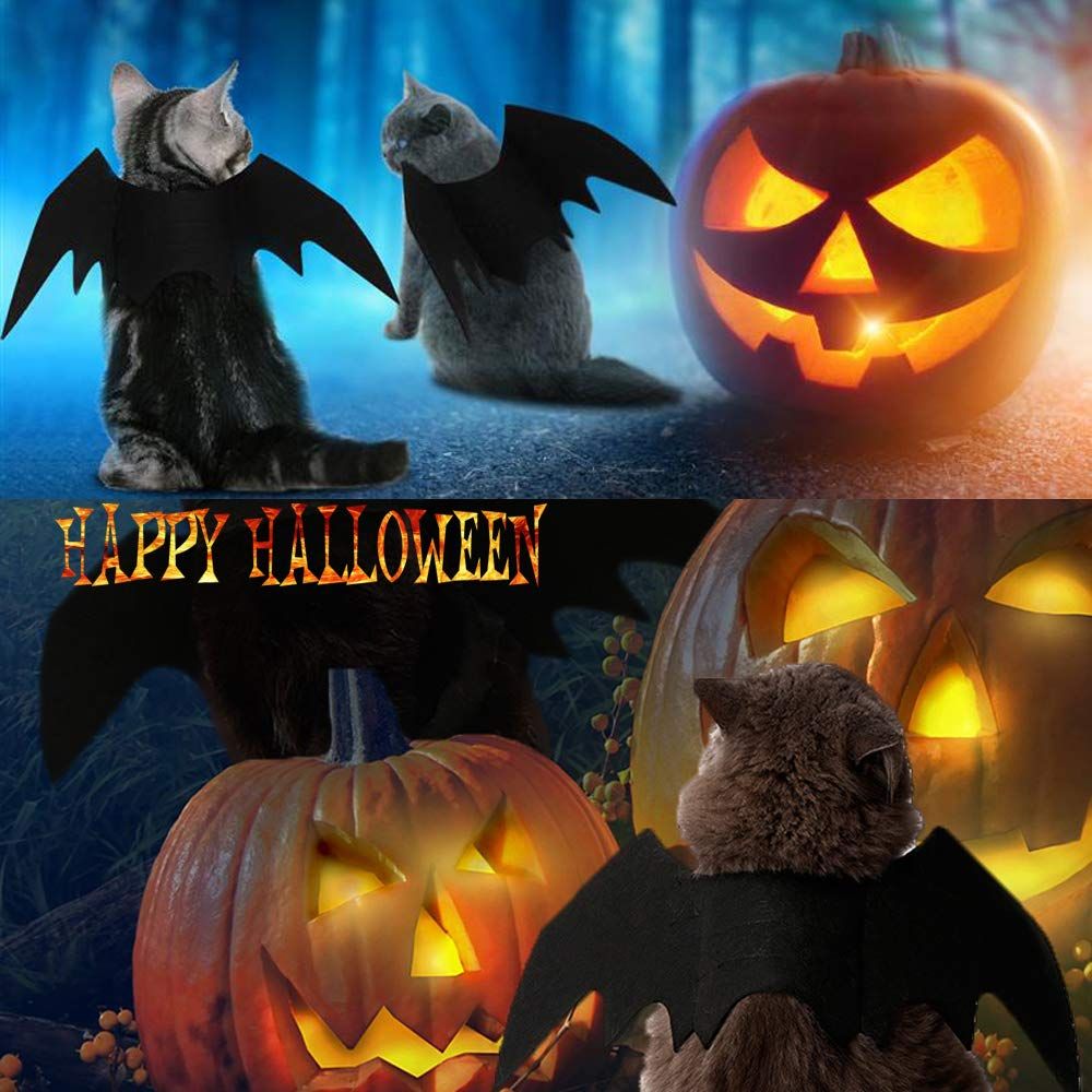 Pet Cat Bat Wings for Halloween Party Decoration, Puppy Collar Leads Cosplay Bat Costume,Cute Puppy Cat Dress M — image 4