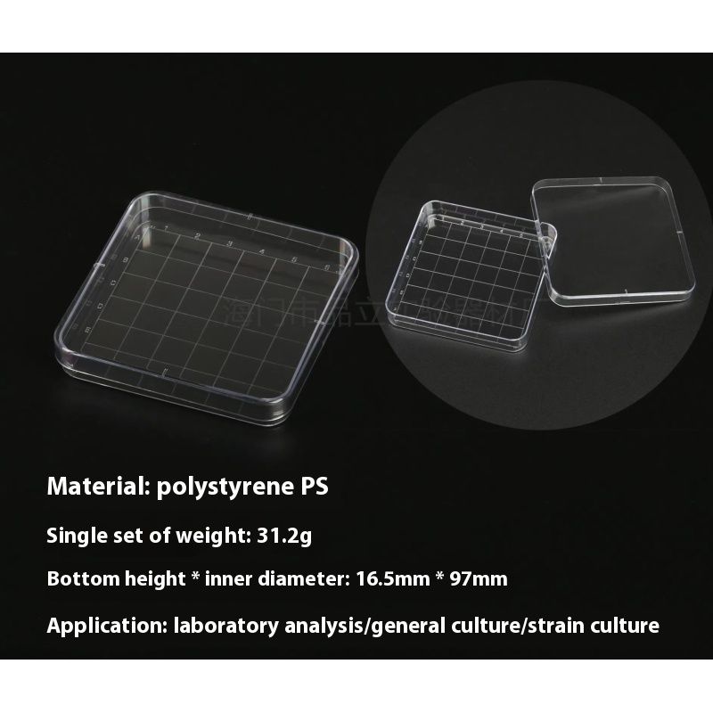 10pcs transparent Rectangular Plastic Petri Dish 100mmx100mm Pipettes for Culturing Cells and Other Scientific — image 2
