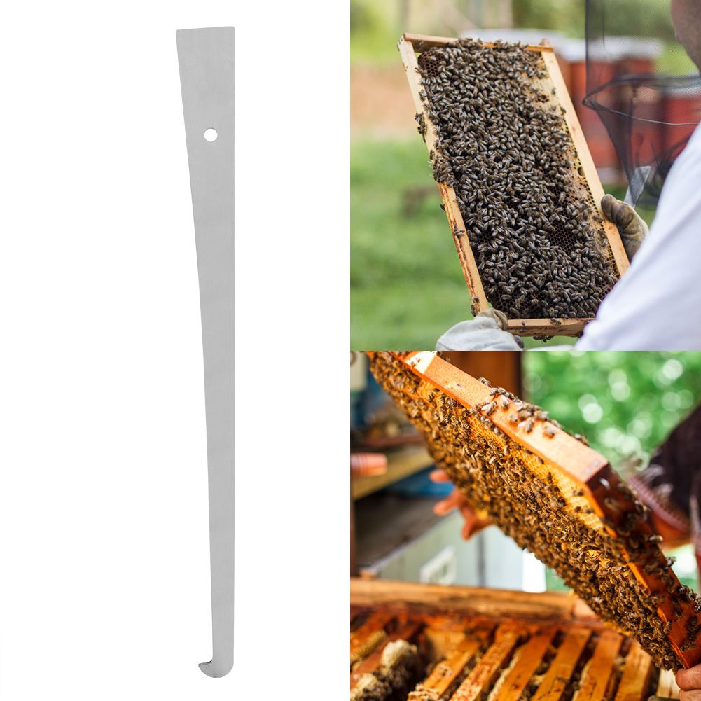 1Pc Stainless Steel Bee Hive Scraper Frame Cleaning Tool Beekeeping Tool Equipment — image 3