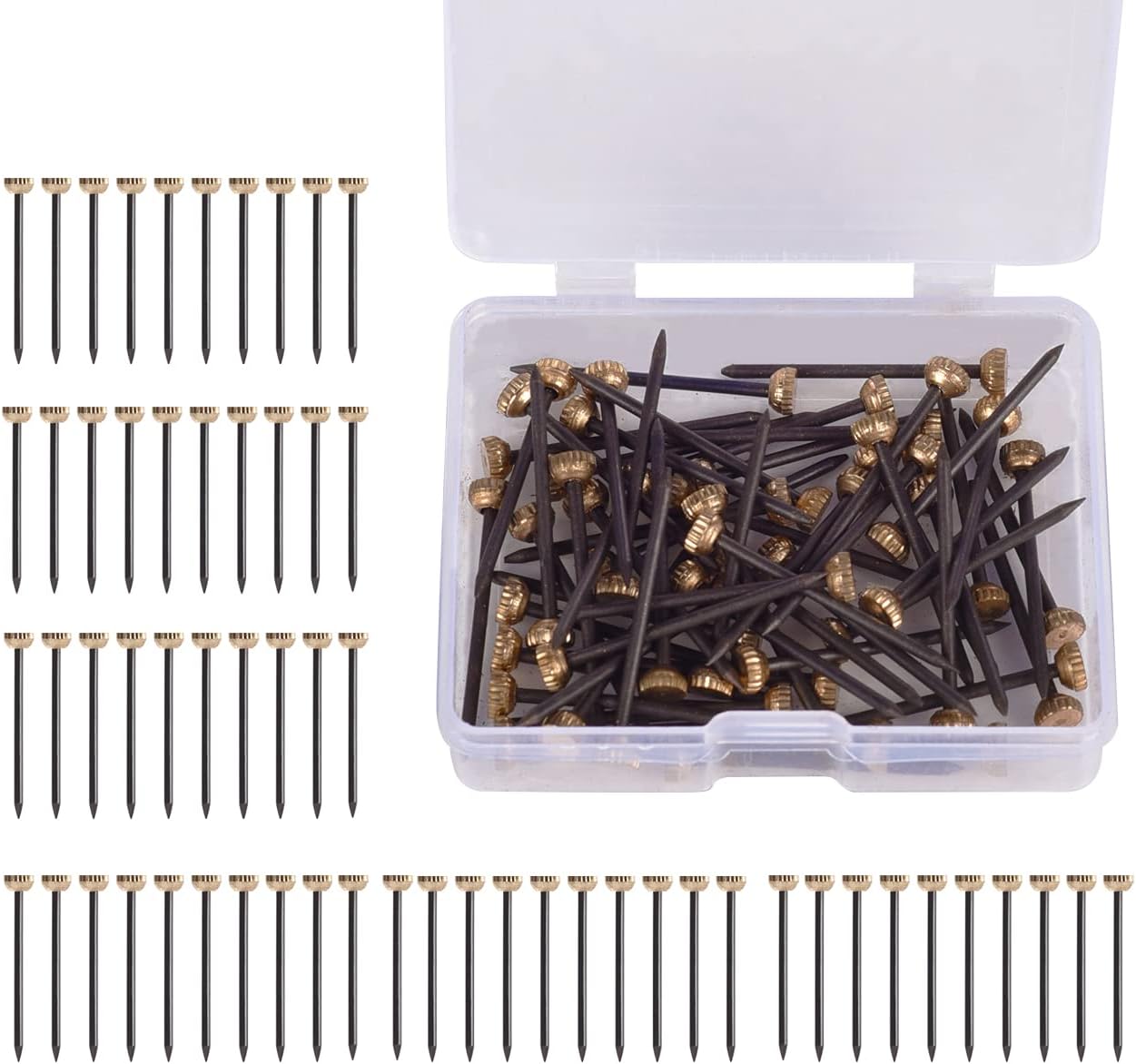 60Pcs Picture Hanging Nails 30 Lbs Brass Head Nails for Hanging, Picture Hanger Pins, Heavy Duty Nail Hook with Storage Box for Photo Frame, Wood Wall Hanging