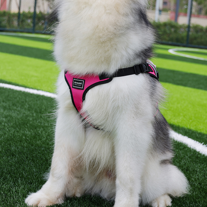Size L Black and Pink Ultimate Dog Harness Vest with Backpack - Padded, Reflective & Adjustable for Medium to Large Breeds โ image 2