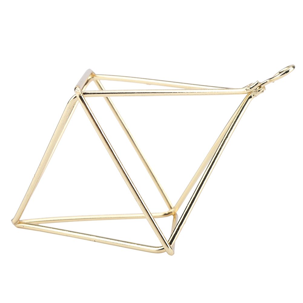 Geometric Air Pants Holder Fashionable Flowers Bromeliads Hanging Rack Home Decor Gold — image 6