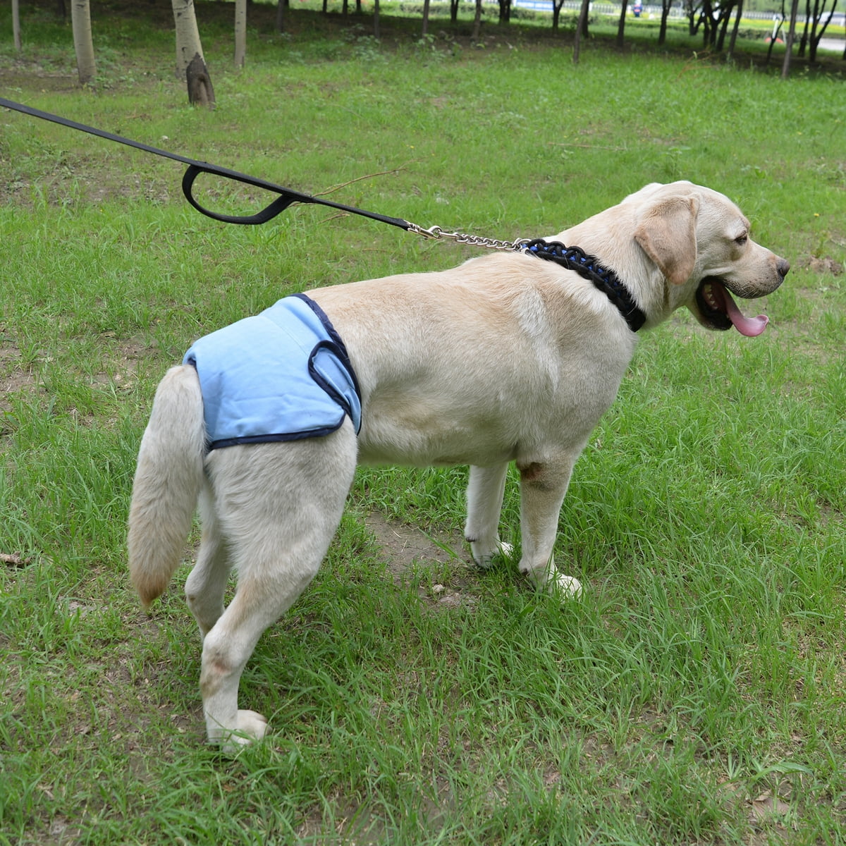 Comfortable Dog Underwear Dog Diapers Pants Male Female to Put On/Off Breathable Physiological Pants Reusable Sanitary Panties for Small to Large Dogs Pet — image 4