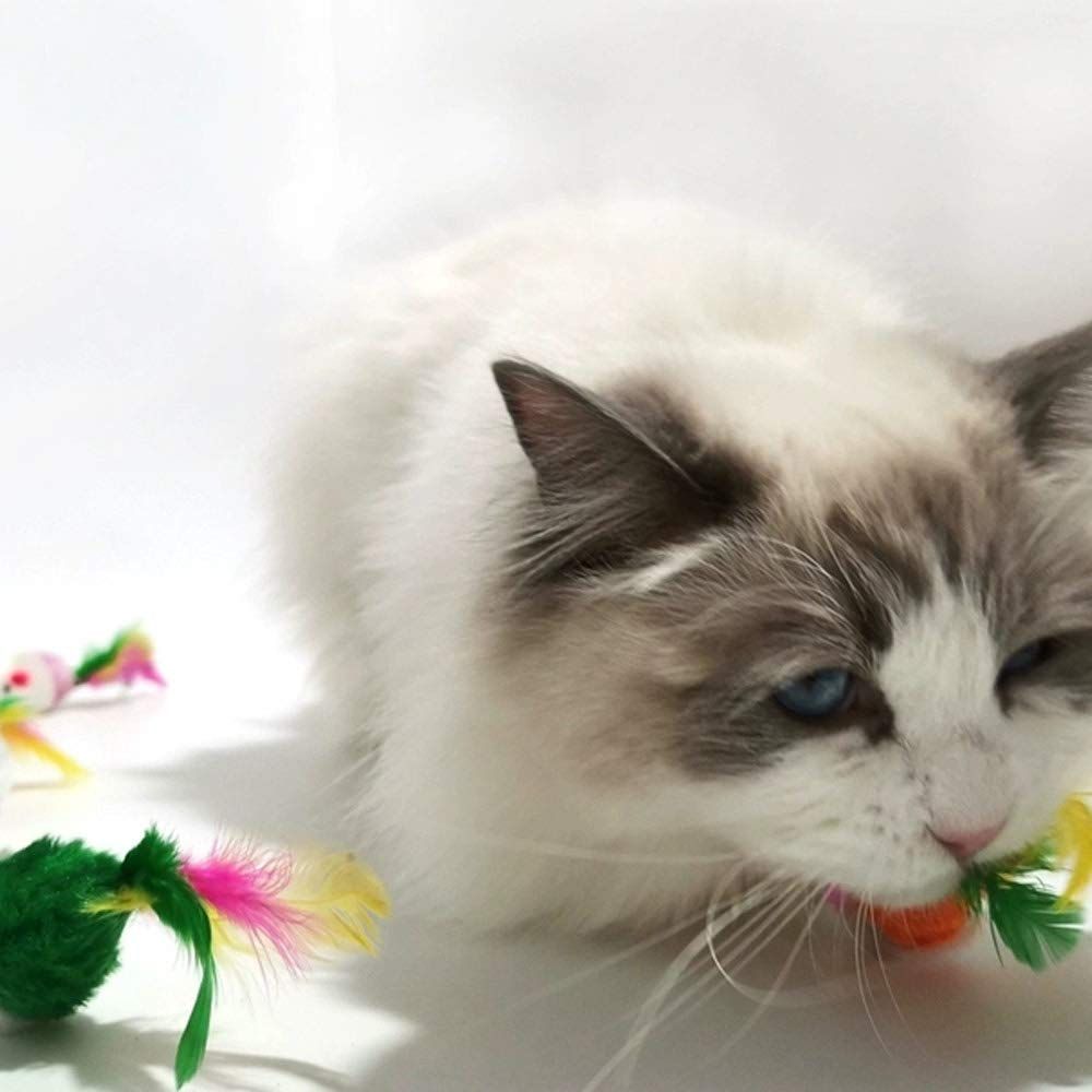 Cat Mice Toys for Indoor Cats 10PCS Color random, Variety Mouse Cat Toy Mice Cat Toy Mouse for Cats, Fur Mice Cat Toys β image 5