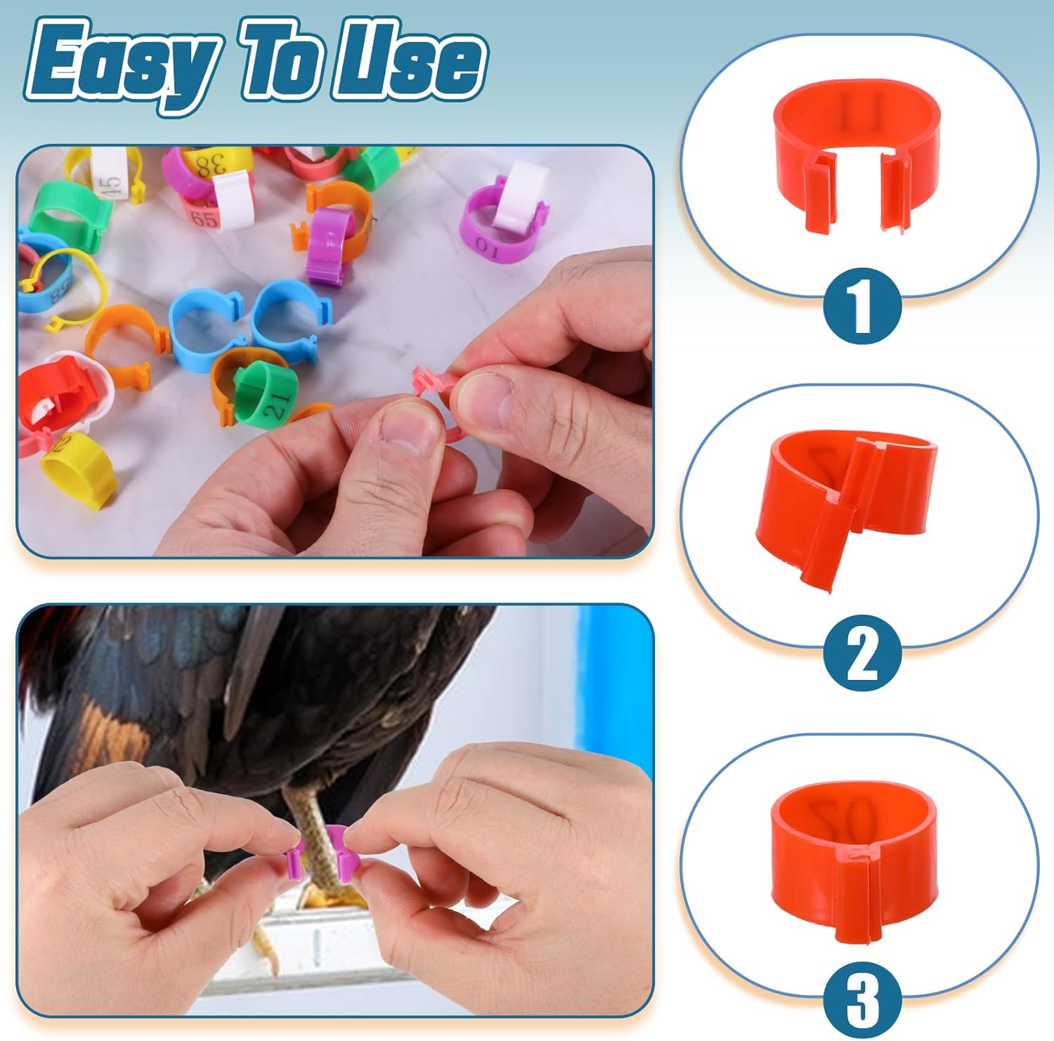 80 Pcs Chicken Leg Bands, 16mm Chicken Leg Bands with 8 Colors, Colorful 01-80 Numbered Chicken Identification Leg Bands Duck Poultry Leg Tags for Chicks Ducks โ image 2