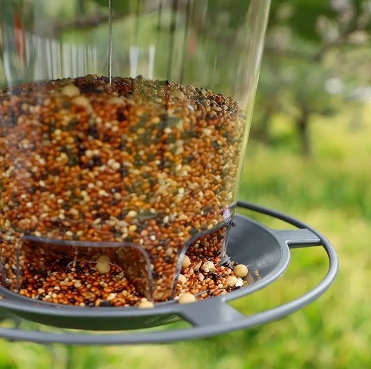 Bird Food House, Feeder House, Feeding Bowl, Hanging Birdhouse, Feeding Spot โ image 2