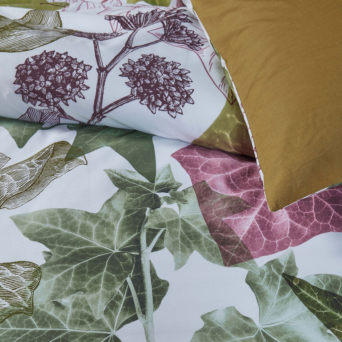 Bedding House Ivy Multi Cotton Quilt Cover Set King โ image 3