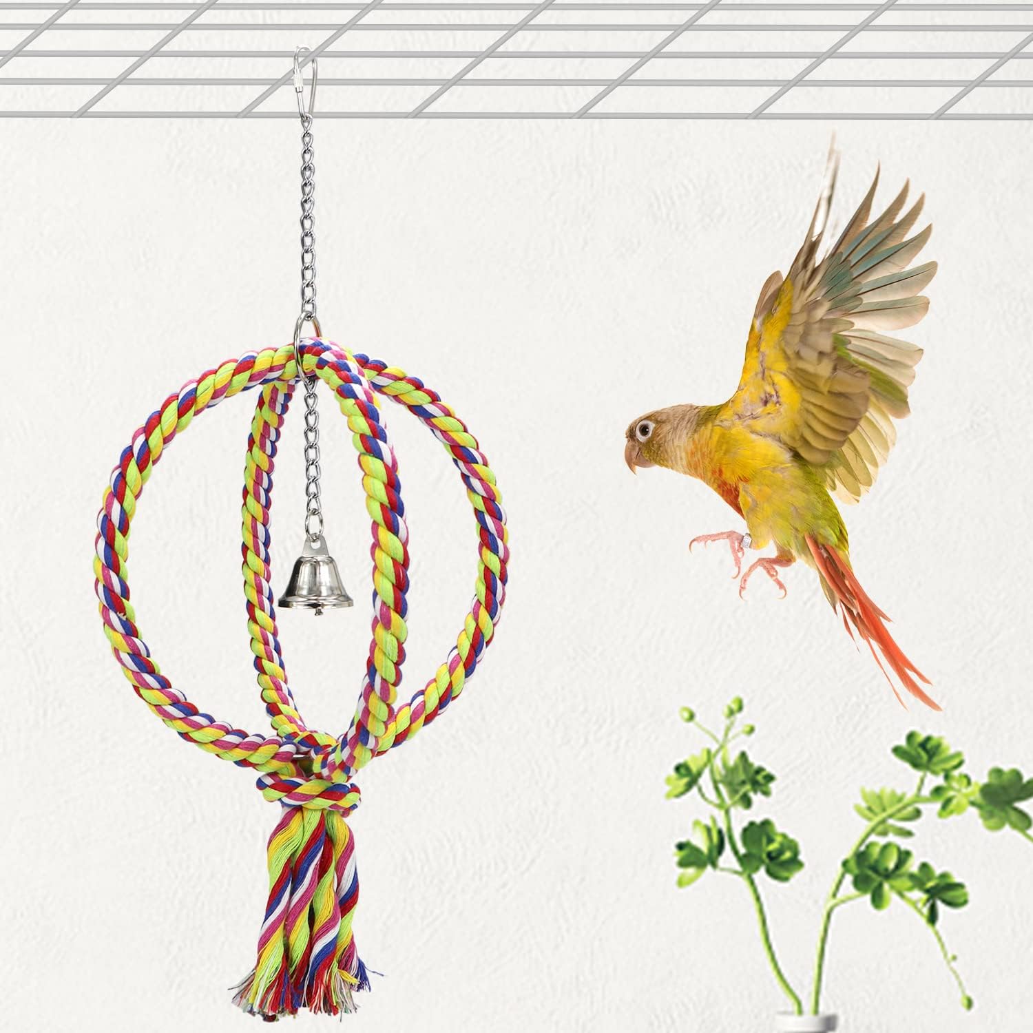 Bird Swing Perch Stand Cotton Rope 2 Two Rings Toy for Parrot Budgie Parakeet Cockatiel Conure Lovebird Finch Canary Cockatoo African Grey Macaw Eclectus โ image 4