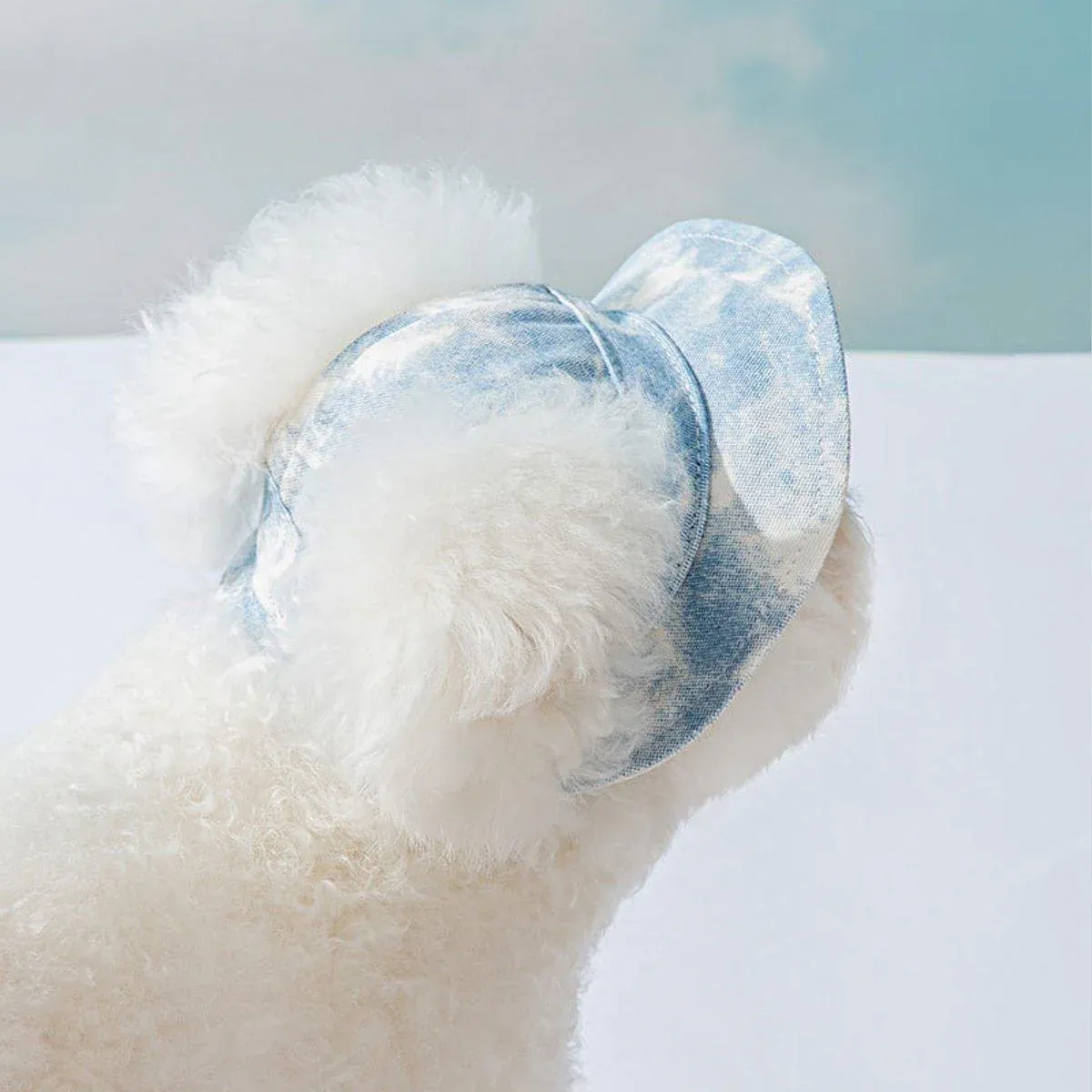 Adjustable Pet Hat with Cute Leaky Ears Sunscreen Fisherman Hat Four Seasons Use - Purple-M — image 4