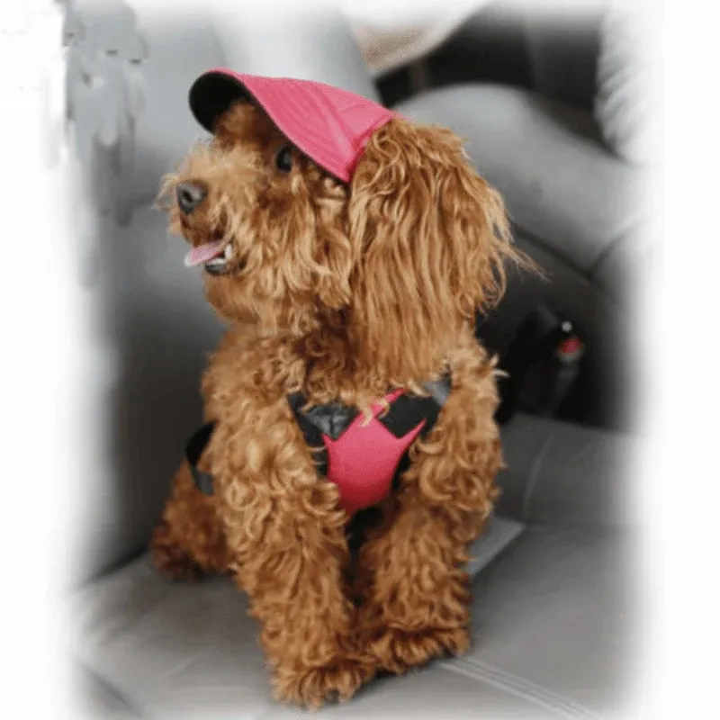Dog Baseball Cap Outdoor Pet Sun Hat Summer Canvas Visor Puppy S Size - Flower — image 6