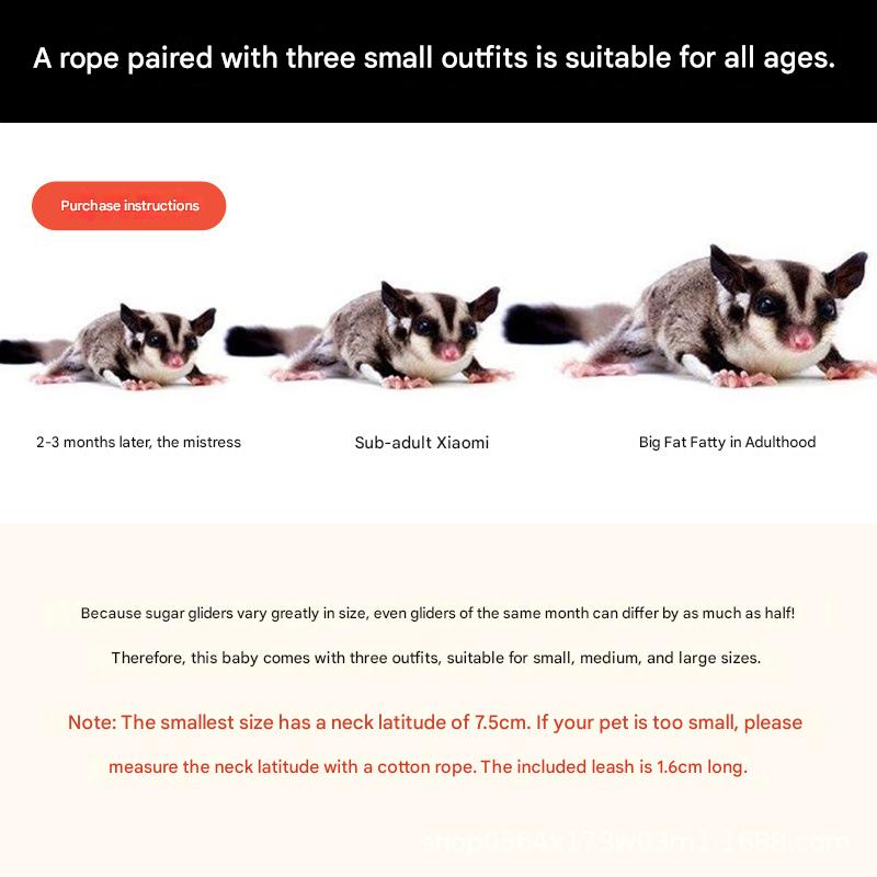 2-Pack dark brown Small Mammal Harness Set – 6 Pcs (S/M/L ×2) + 2 × 1.5m Leashes for Secure Outdoor Handling — image 3