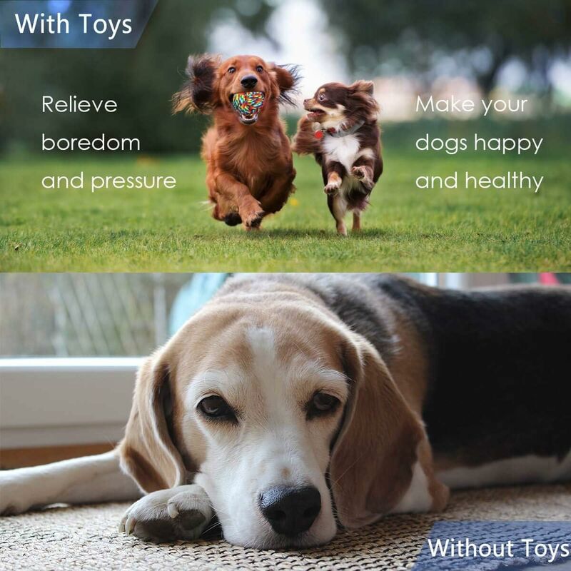 For Small/Medium Dogs (4 Pieces) — image 4