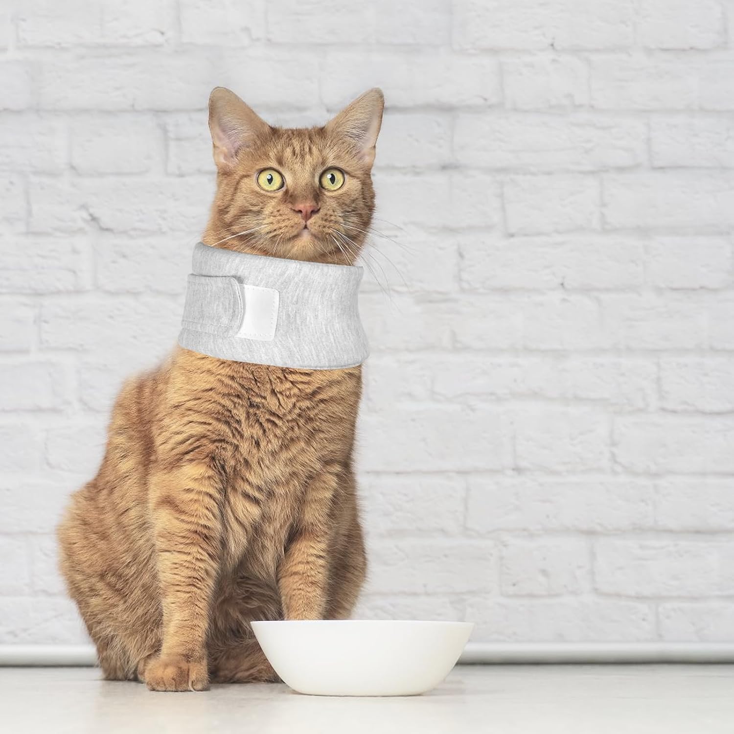 Soft Protective Collar for Cats & Small Dogs - Comfortable Adjustable (21-26 cm) - Set of 1 — image 4