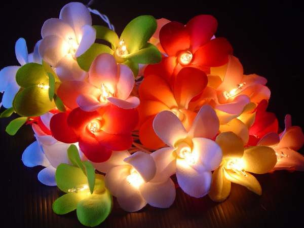 1 Set of 20 LED Tropical Bright Colous Frangipani Flower Battery String Lights Christmas Gift Home Wedding Party Decoration Outdoor Table Centrepiece โ image 3