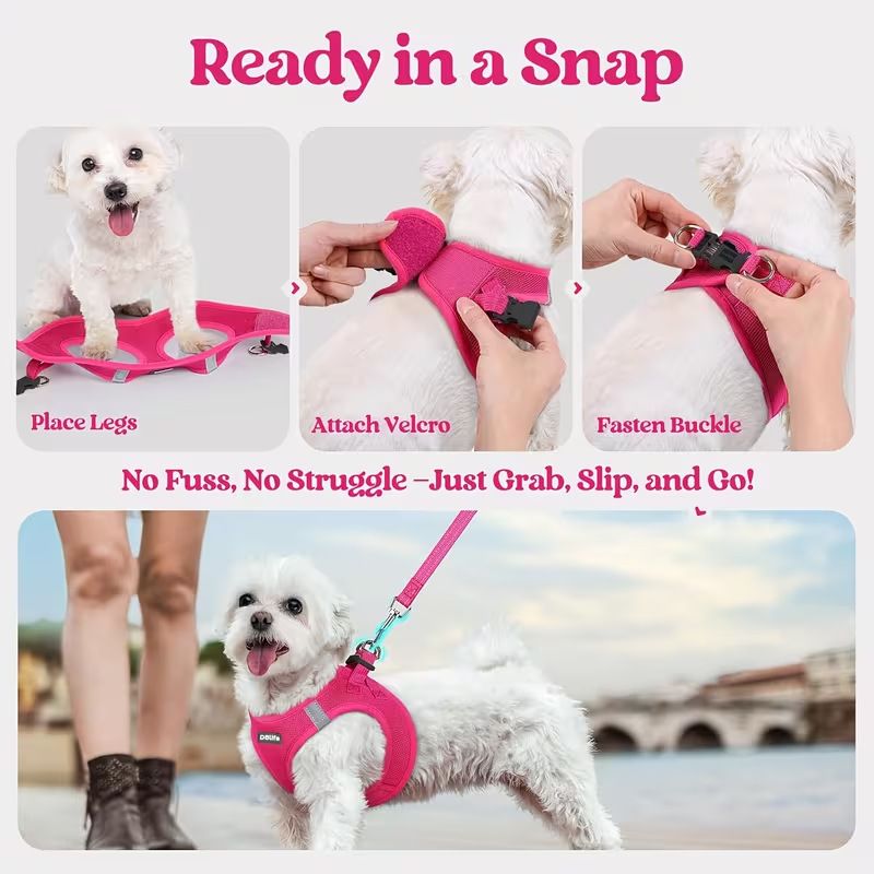 Blue Breathable Dog Harness and Leash Set - Adjustable Reflective Pet Vest with Swivel Clip(Size: L) — image 3