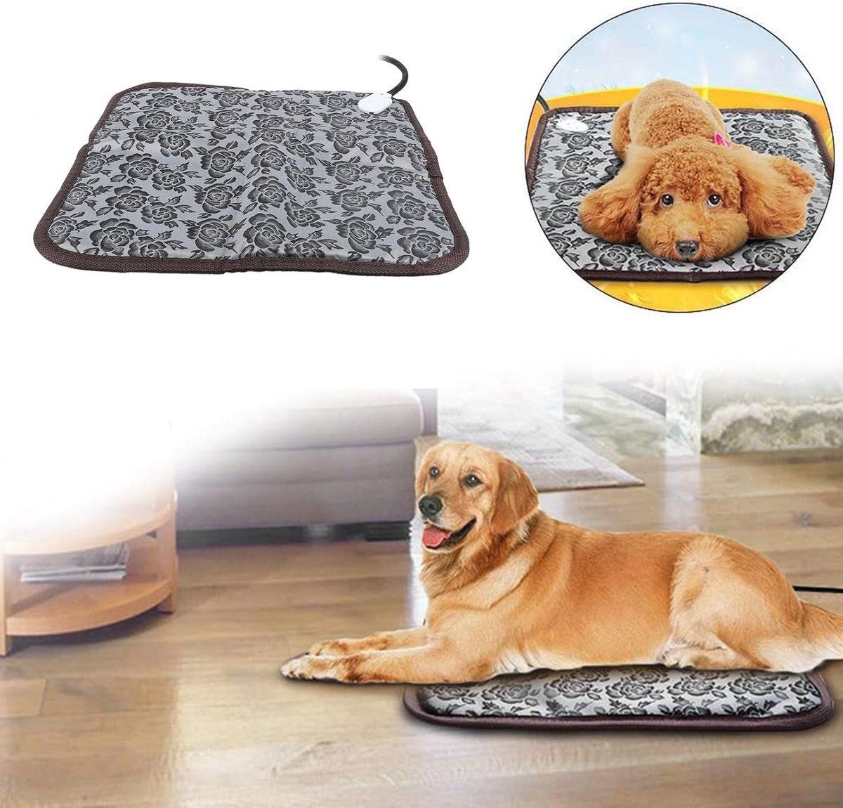 Constant Temperature for Cats and Dogs — image 4