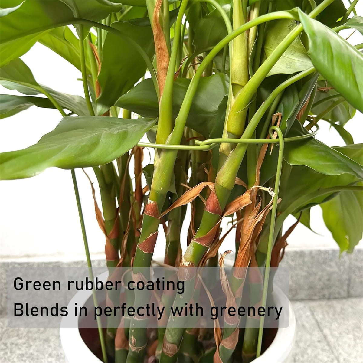 3 Pcs Garden Plant Support Rings for Potted Plant,9 × 11in Round Metal Plant Stakes Rings,Garden Plant Support Brace,Peony Cages Support Stakes Ring,Plant — image 4