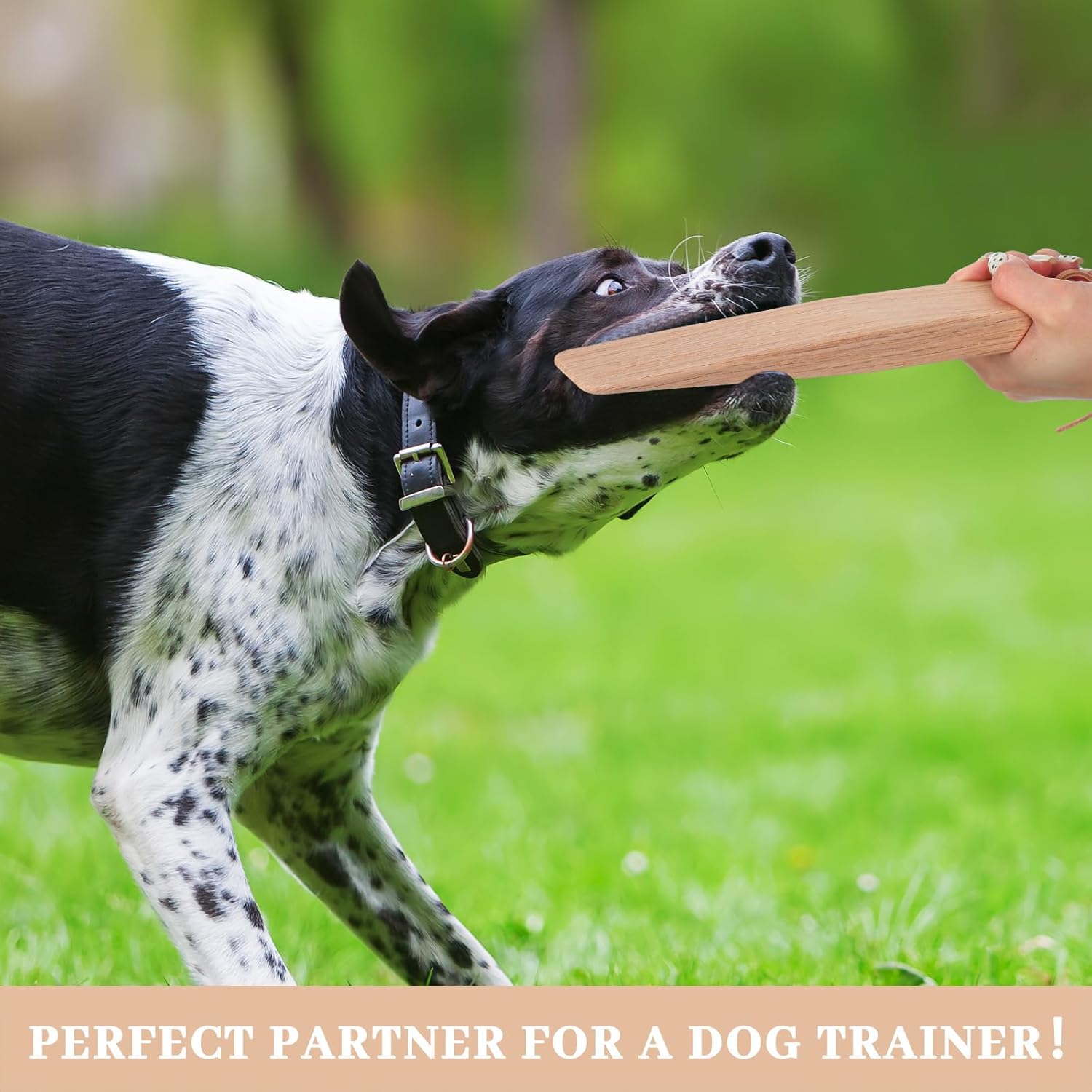 2 Pcs Break Stick Dog Fight 10.04'' x 1.77'' x 0.79'' Dog Stick Toy with Ropes for Training German Shepherd Most Dogs โ image 6