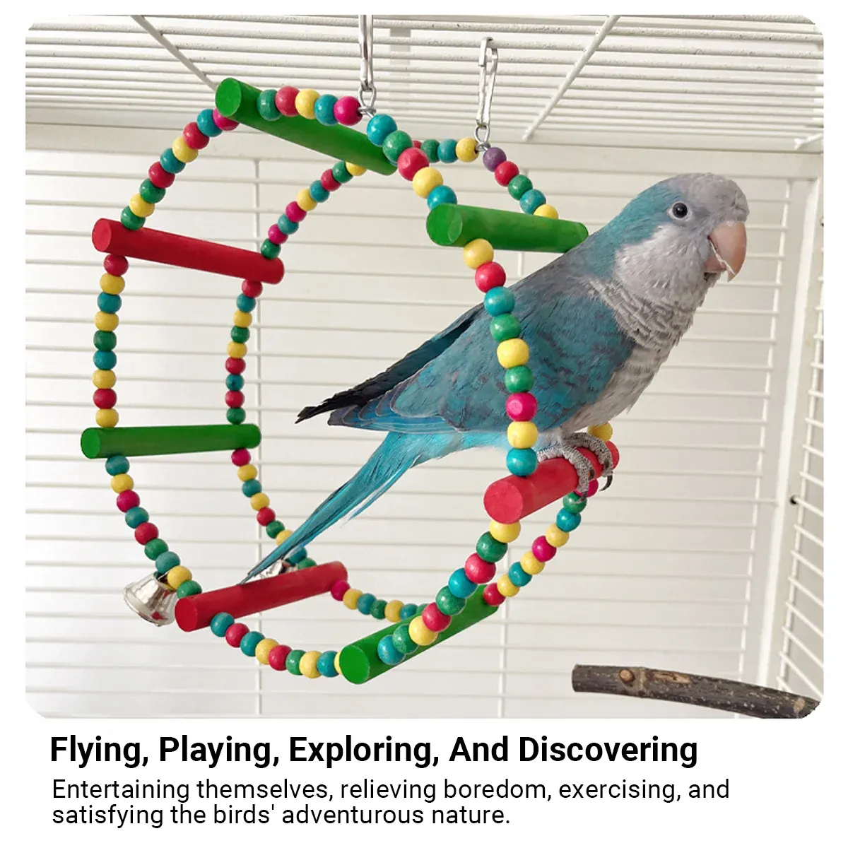 Parrot Swing Toy Bird Perch Stand for Birds Cage Toy Interactive Play Equipment — image 6