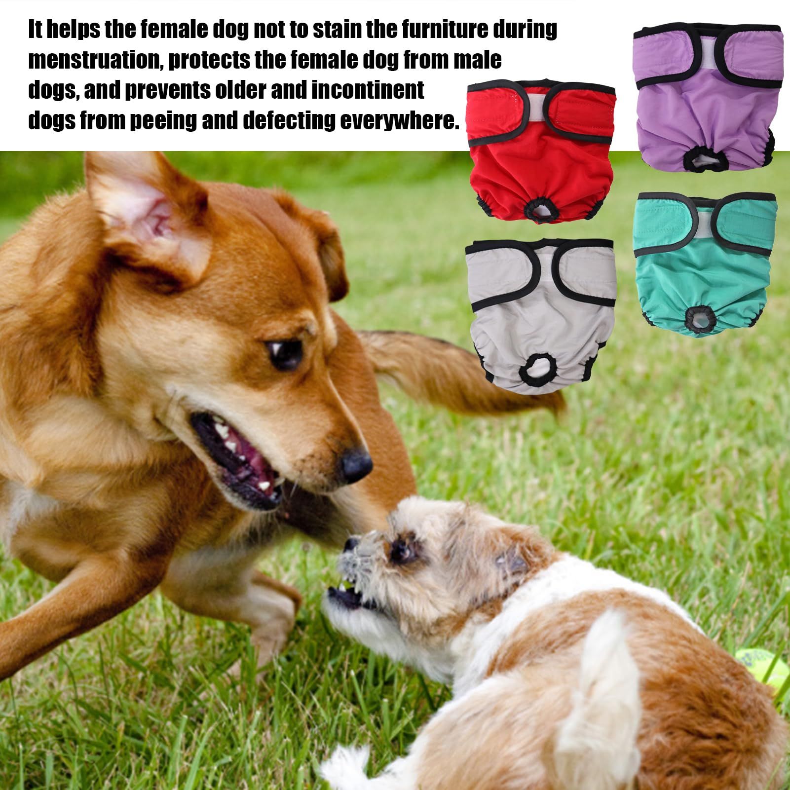 Teamoy 4pcs Washable Female Dog Diapers, Reusable Doggie Diaper Wraps for Female Dogs, Super-Absorbent and Comfortable, Small โ image 5