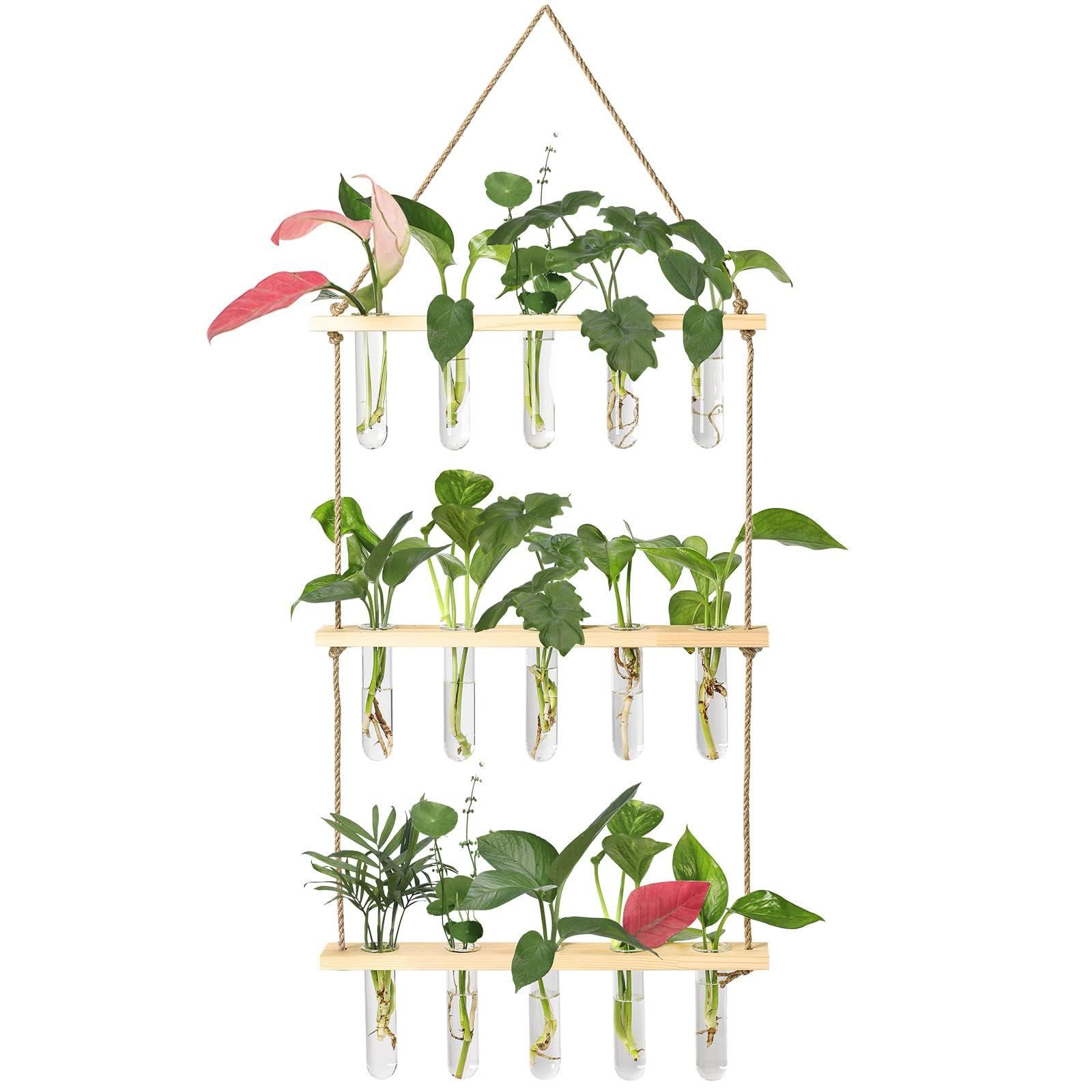 3 Tiered Wall Hanging Plant Terrarium with Wooden Stand Flower Vase Glass Planter for Hydroponic Plant Cutting Home Garden — image 3
