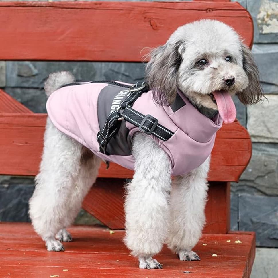 Warm Soft Winter Dog Vest with Stand Collar, Wind and Waterproof, Multiple Colors, Pink, S to XL — image 4