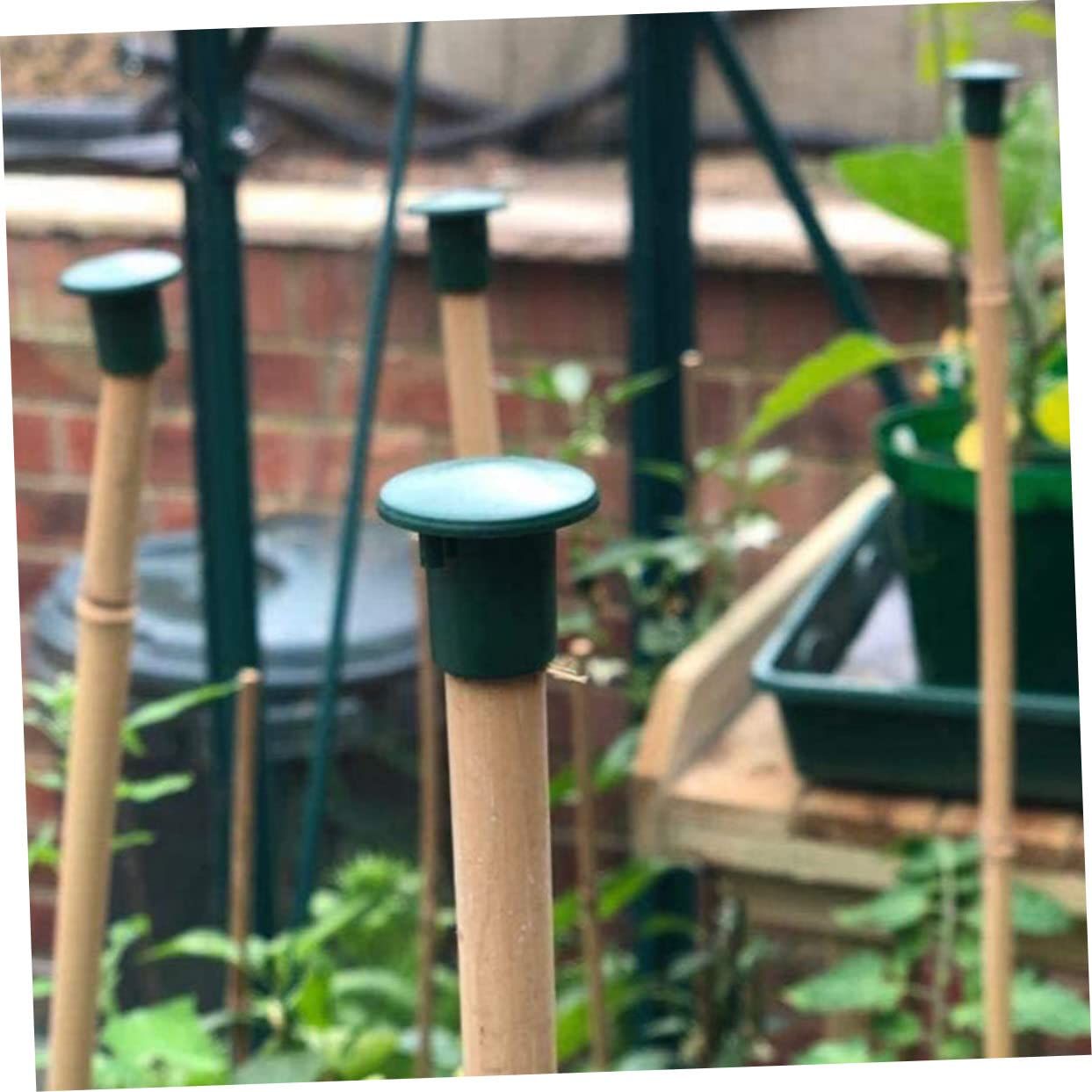 50pcs Garden Pole Set Cane Sleeve Covers Outdoor Garden Cane Caps Cane Topper Protectors Protective Caps Plastic Cane Caps — image 4