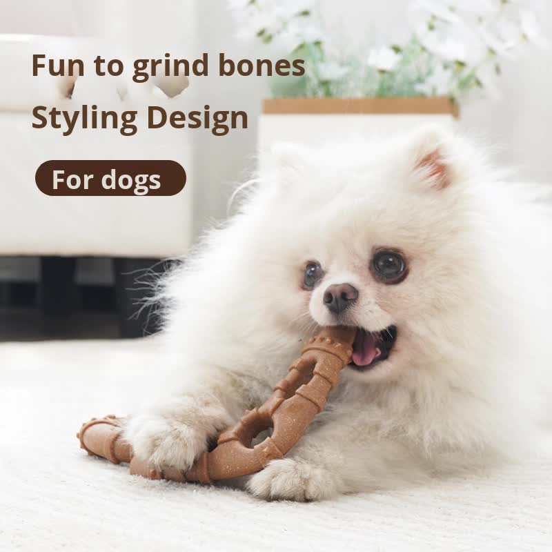 Trigeminal bone Durable Dog Chew Toy for Dental Health - Tough, Non-Toxic Teething Bone for Small & Medium Dogs — image 3