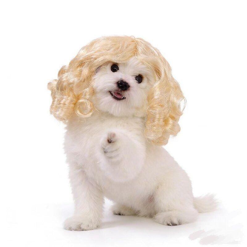 Gan's Liangsi NI Pet Wig Yellow Curly Light yellow — image 3