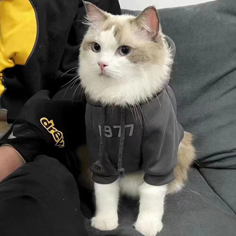 2-Pack L sizeTrendy Pet Hoodie with "1977" Print - Warm Winter Wear for Cats and Small Dogs - with Plush Lining - Beige and Dark Grey — image 5