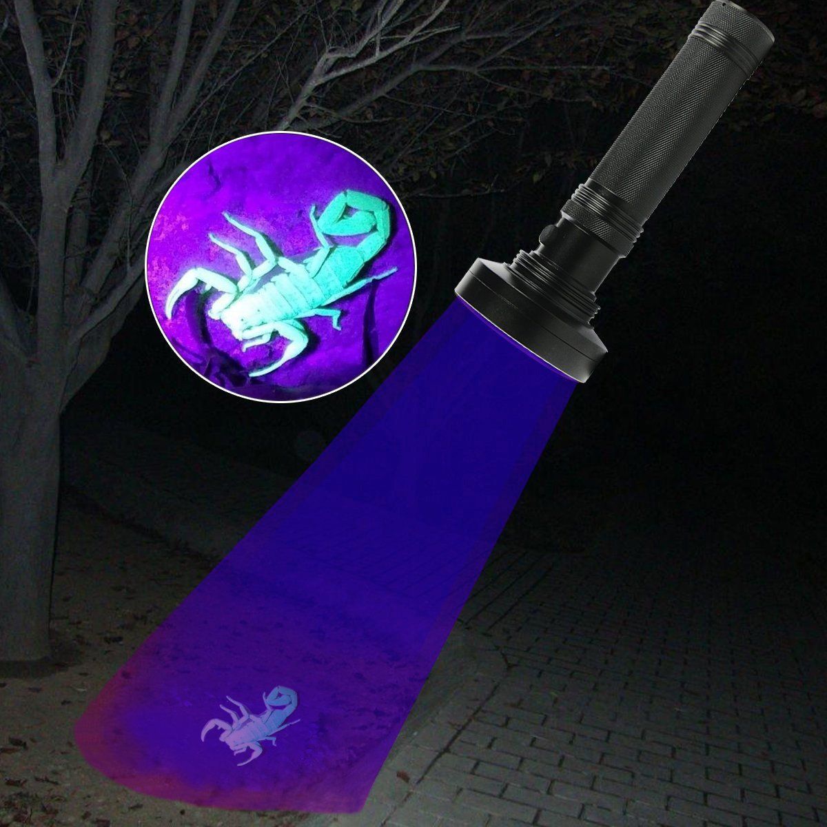 Ultraviolet Flashlights UV Detector, LED Flashlights Pet Urine Detector for Cat Urine, Stains, Bed Bug, Batteries not Included (100-UV purple flashlight) โ image 2