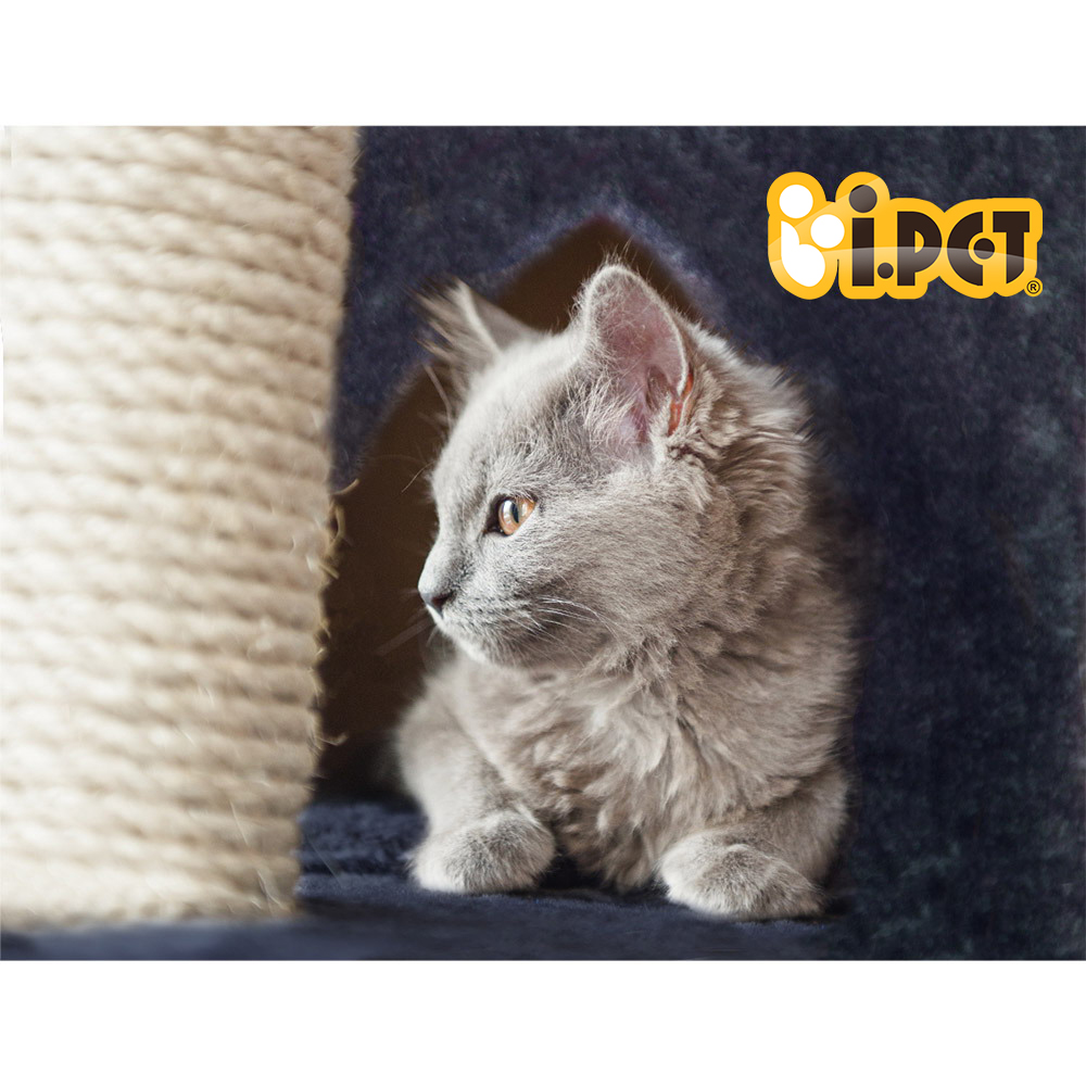 i.Pet Cat Tree 244cm Tower Scratching Post Scratcher Trees Condo House Grey โ image 6